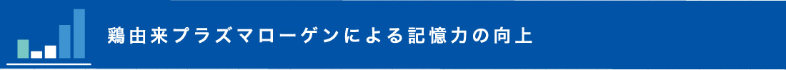 鶏由来プラズマローゲンに依る記憶力の向上